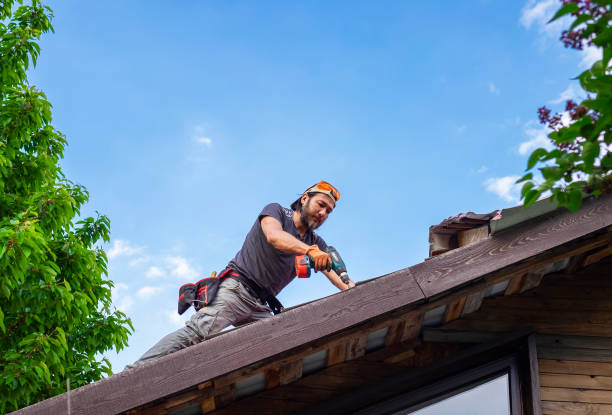 Skylights in Fairview Shores, FL