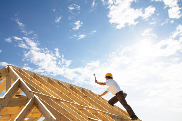 Best Sheet Metal Roofing  in Fairview Shores, FL